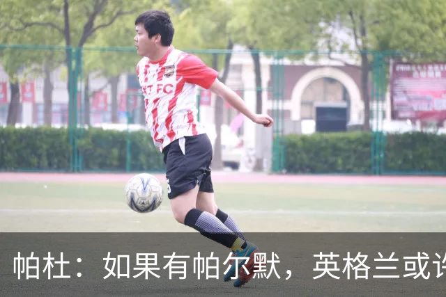帕杜：如果有帕尔默，英格兰或许能破加纳防守